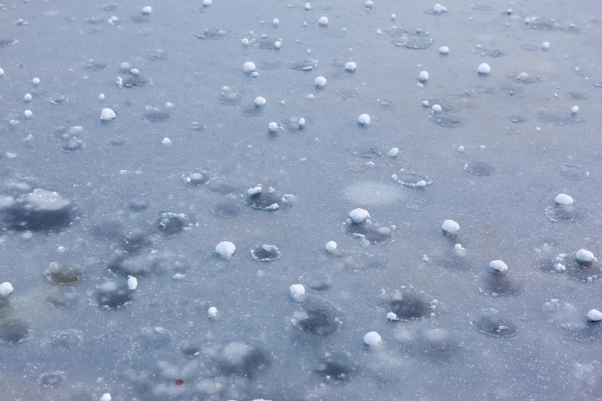 Hailstones scattered across a wet surface after a storm